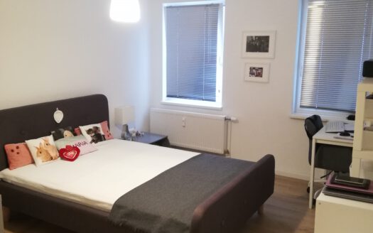 Magniviertel – 3 ZW mit Loggia und EBK