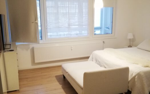 Magniviertel – 3 ZW mit Loggia und EBK